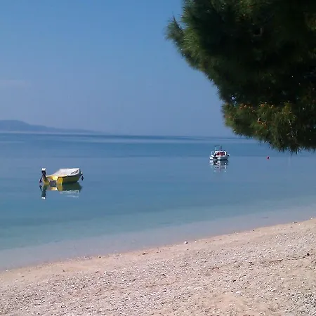 Rose Loboja マカルスカ