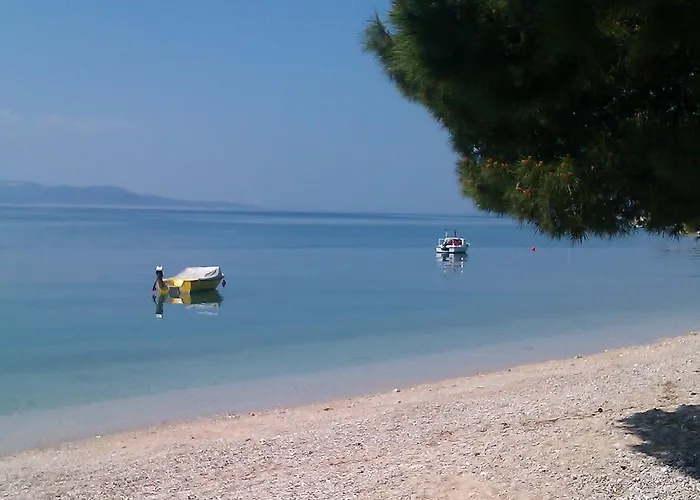 Rose Loboja Makarska